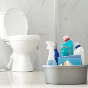 Toilet Bowl Cleaners